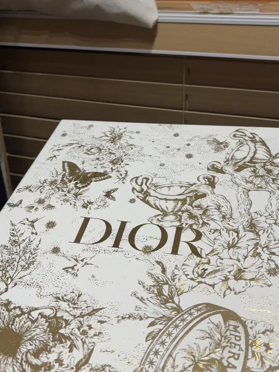 DIOR 레이디디올